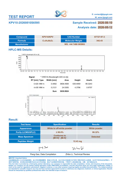 KPV analytical report KP10-20260810S6595 first-page preview
